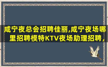 营口夜总会招聘